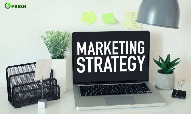 Useful Marketing Strategies