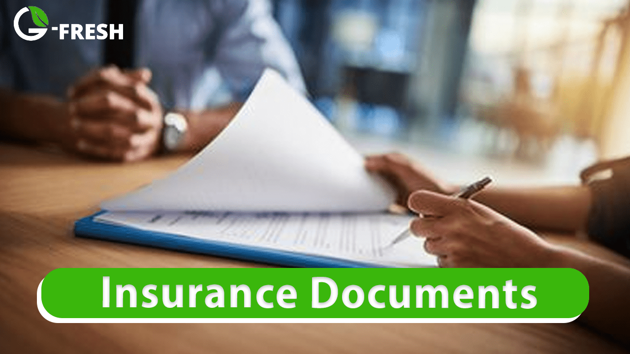 Insurance Documents