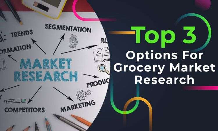 options for grocery market research