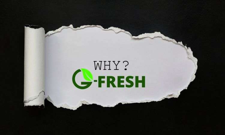 Guide to Opening a G Fresh Mart Supermarket Franchise in India why choose G Fresh Mart Supermarket Franchise in India