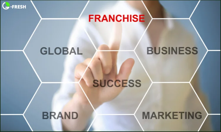 What is Franchise Business Model? significant benefits of a franchise business model