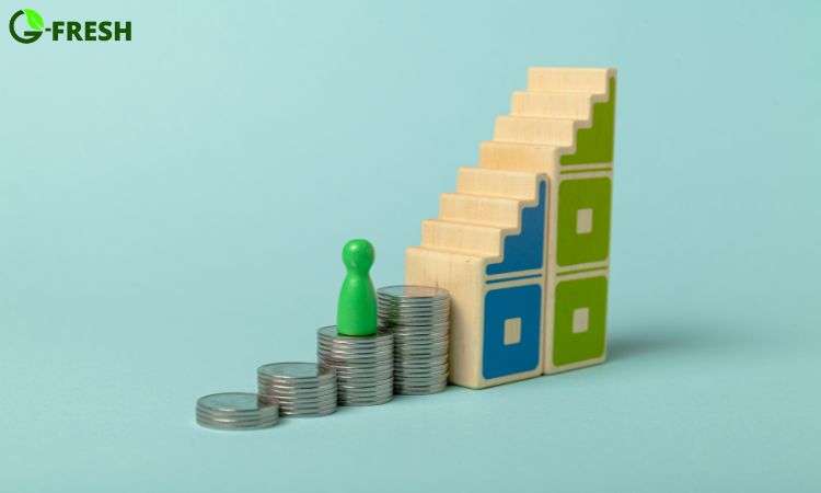 plan out your investment for successful superstore franchise