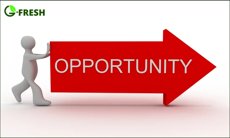 evaluate franchise opportunities
