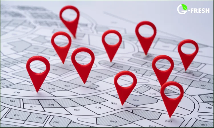 franchise for grocery store location
