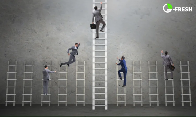 market and competitors research