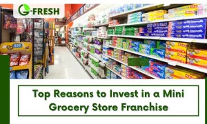 reasons to invest in a mini grocery store franchise