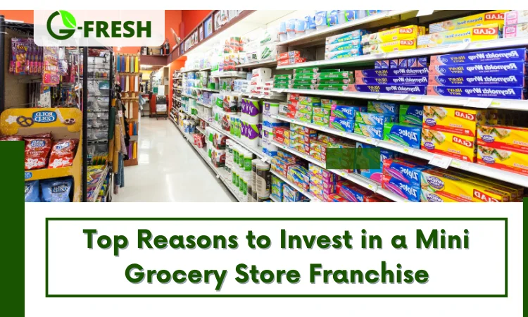 reasons to invest in a mini grocery store franchise